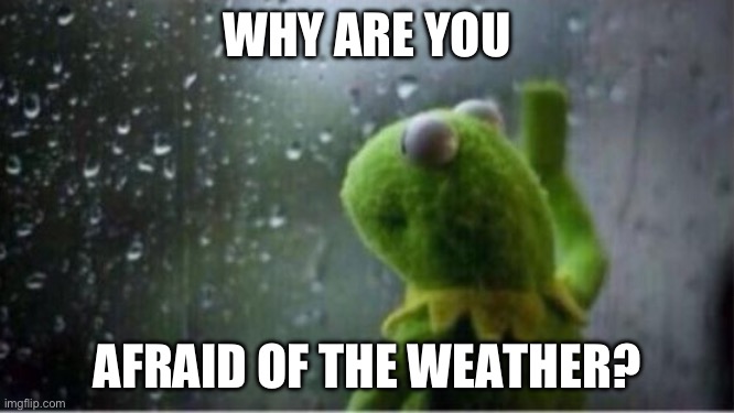 Fear | WHY ARE YOU; AFRAID OF THE WEATHER? | image tagged in kermit rain | made w/ Imgflip meme maker