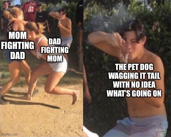 Doggy | DAD FIGHTING MOM; MOM FIGHTING DAD; THE PET DOG WAGGING IT TAIL WITH NO IDEA WHAT’S GOING ON | image tagged in two girls fighting,dogs,mom,dad,memes | made w/ Imgflip meme maker