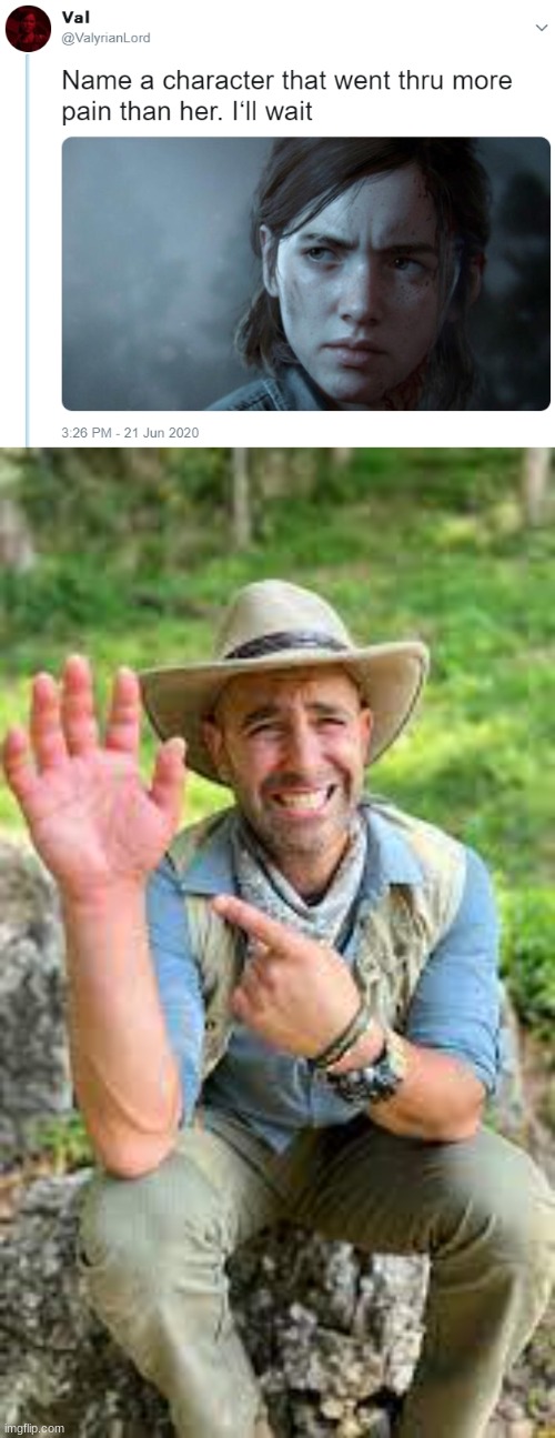 "hi im coyote peterson. and im about to enter the strike zone of the sun" | image tagged in name one character who went through more pain than her | made w/ Imgflip meme maker