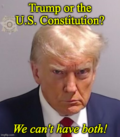 Donald Trump Mugshot | Trump or the U.S. Constitution? We can't have both! | image tagged in donald trump mugshot | made w/ Imgflip meme maker