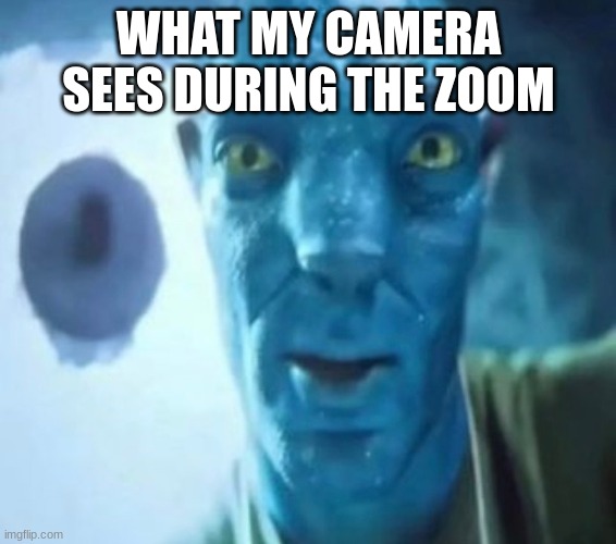Avatar guy | WHAT MY CAMERA SEES DURING THE ZOOM | image tagged in avatar guy | made w/ Imgflip meme maker