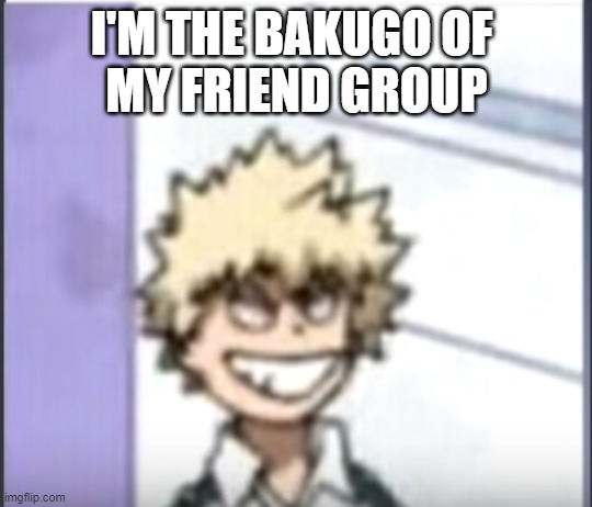 Who are you? | I'M THE BAKUGO OF 
MY FRIEND GROUP | image tagged in bakugo sero smile,bakugo,friendship | made w/ Imgflip meme maker