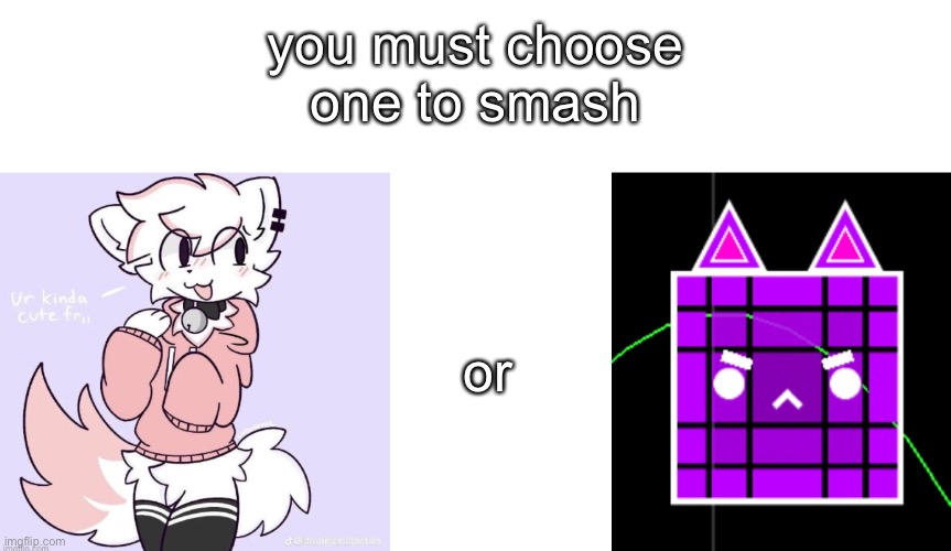 for the purposes of this both you and the furries are both 18 | you must choose one to smash; or | image tagged in blank white template,boykisser glow up | made w/ Imgflip meme maker