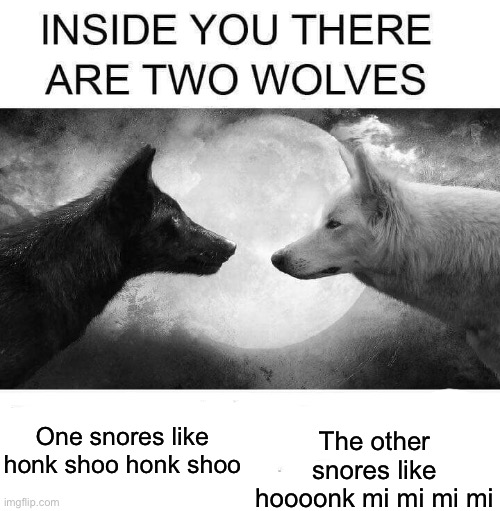 Inside you there are two wolves | One snores like honk shoo honk shoo; The other snores like hoooonk mi mi mi mi | image tagged in inside you there are two wolves | made w/ Imgflip meme maker