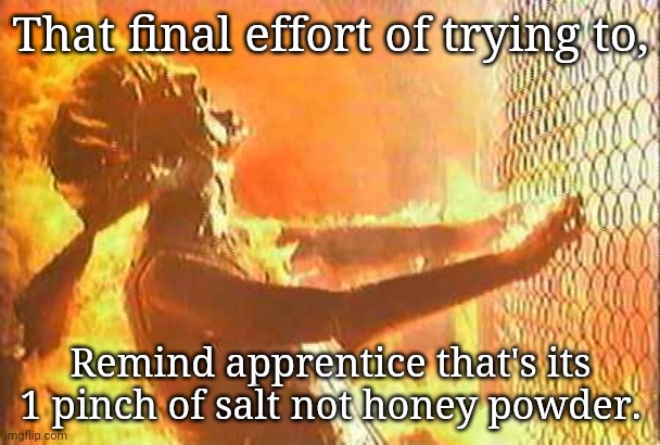 Terminator nuke | That final effort of trying to, Remind apprentice that's its 1 pinch of salt not honey powder. | image tagged in terminator nuke | made w/ Imgflip meme maker