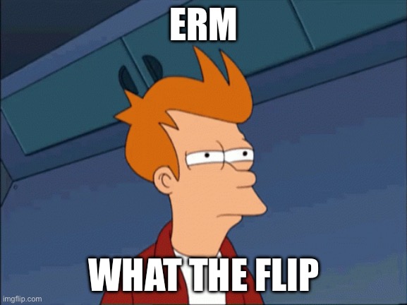 ERM; WHAT THE FLIP | made w/ Imgflip meme maker