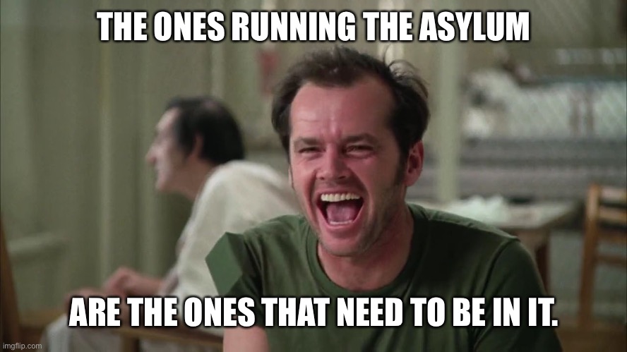 cuckoo | THE ONES RUNNING THE ASYLUM ARE THE ONES THAT NEED TO BE IN IT. | image tagged in cuckoo | made w/ Imgflip meme maker