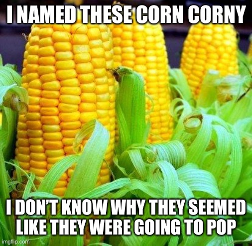 Corn | I NAMED THESE CORN CORNY; I DON’T KNOW WHY THEY SEEMED LIKE THEY WERE GOING TO POP | image tagged in corny,corny joke,popcorn,pop,names,corn | made w/ Imgflip meme maker