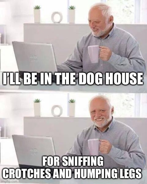 Hide the Pain Harold Meme | I’LL BE IN THE DOG HOUSE FOR SNIFFING CROTCHES AND HUMPING LEGS | image tagged in memes,hide the pain harold | made w/ Imgflip meme maker