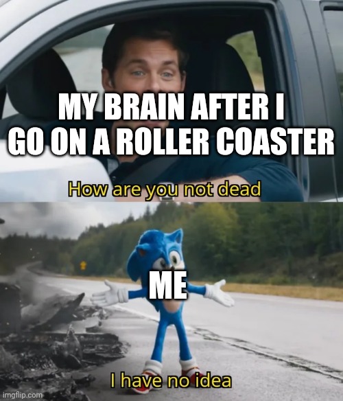 Sonic I have no idea | MY BRAIN AFTER I GO ON A ROLLER COASTER; ME | image tagged in sonic i have no idea,why is the fbi here | made w/ Imgflip meme maker