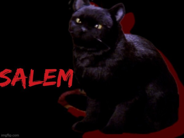 SALEM The Cat | image tagged in tv show | made w/ Imgflip meme maker