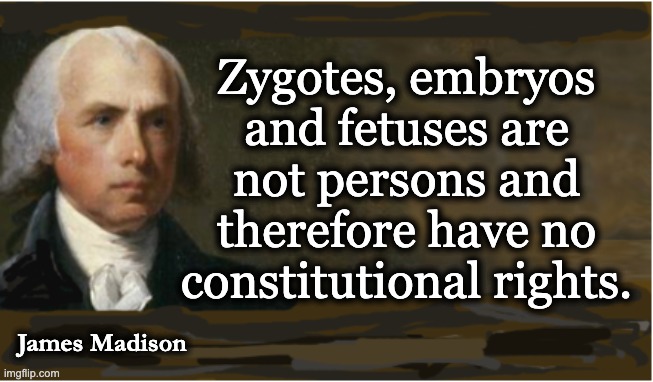 Zygotes, embryos and fetuses are not persons and therefore have no constitutional rights. James Madison | image tagged in memes,us constitution,personhood,citizenship,14th amendment,abortion is legal | made w/ Imgflip meme maker