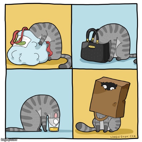 A Cat's Way Of Thinking | image tagged in memes,comics/cartoons,cats,look at me,drinking,having fun | made w/ Imgflip meme maker