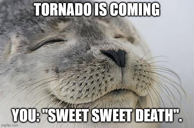 Noice seal likes dying | TORNADO IS COMING; YOU: "SWEET SWEET DEATH". | image tagged in memes,satisfied seal | made w/ Imgflip meme maker