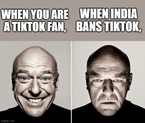 When nationalism in India was taken to the extreme (in 2020) [the cause of India's TikTok ban] | WHEN INDIA BANS TIKTOK, WHEN YOU ARE A TIKTOK FAN, | image tagged in dean norris's reaction | made w/ Imgflip meme maker