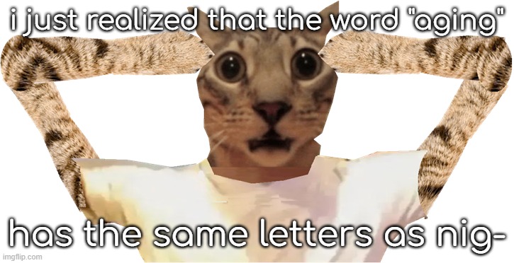 cat shocked | i just realized that the word "aging"; has the same letters as nig- | image tagged in cat shocked | made w/ Imgflip meme maker