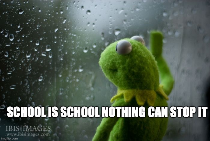 kermit window | SCHOOL IS SCHOOL NOTHING CAN STOP IT | image tagged in kermit window | made w/ Imgflip meme maker