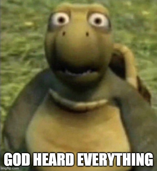 ooh noo | GOD HEARD EVERYTHING | image tagged in shocked turtle,funny memes | made w/ Imgflip meme maker