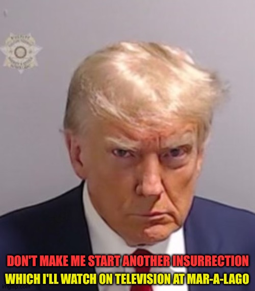 Don't make me start | WHICH I'LL WATCH ON TELEVISION AT MAR-A-LAGO; DON'T MAKE ME START ANOTHER INSURRECTION | image tagged in donald trump mugshot | made w/ Imgflip meme maker