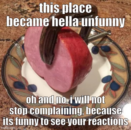 Clamped Ham | this place became hella unfunny; oh and no, i will not stop complaining, because its funny to see your reactions | image tagged in clamped ham | made w/ Imgflip meme maker