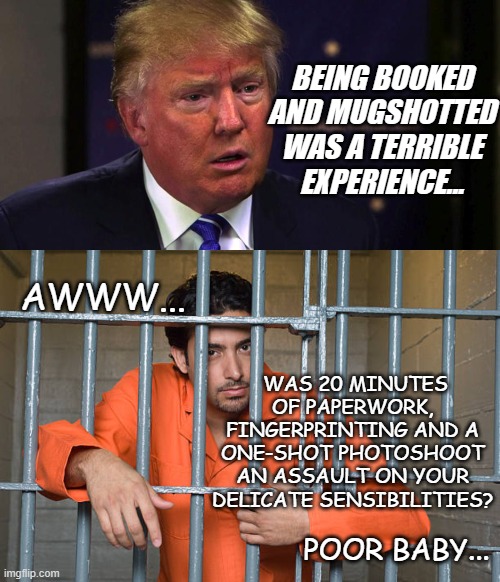 He's going to get eaten alive in prison... | BEING BOOKED AND MUGSHOTTED WAS A TERRIBLE EXPERIENCE... AWWW... WAS 20 MINUTES OF PAPERWORK, FINGERPRINTING AND A ONE-SHOT PHOTOSHOOT AN ASSAULT ON YOUR DELICATE SENSIBILITIES? POOR BABY... | image tagged in crybaby,trump,whining,like,always | made w/ Imgflip meme maker