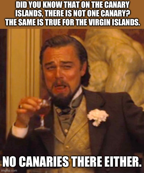 Canaries | DID YOU KNOW THAT ON THE CANARY ISLANDS, THERE IS NOT ONE CANARY? THE SAME IS TRUE FOR THE VIRGIN ISLANDS. NO CANARIES THERE EITHER. | image tagged in memes,laughing leo | made w/ Imgflip meme maker