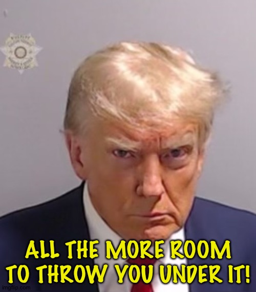 Donald Trump Mugshot | ALL THE MORE ROOM TO THROW YOU UNDER IT! | image tagged in donald trump mugshot | made w/ Imgflip meme maker