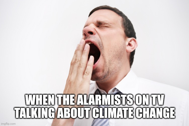 yawn | WHEN THE ALARMISTS ON TV TALKING ABOUT CLIMATE CHANGE | image tagged in yawn | made w/ Imgflip meme maker