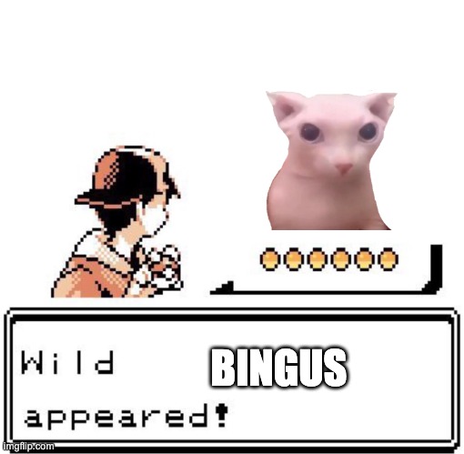 Blank Wild Pokemon Appears | BINGUS | image tagged in blank wild pokemon appears | made w/ Imgflip meme maker