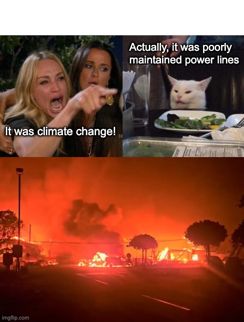 It takes a minimum temperature of 451ºF to set wood on fire | Actually, it was poorly maintained power lines; It was climate change! | image tagged in memes,woman yelling at cat,maui,democrats,climate change,global warming | made w/ Imgflip meme maker