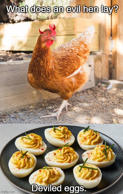 Egg Joke | What does an evil hen lay? Deviled eggs. | image tagged in hen,eggs,funny | made w/ Imgflip meme maker
