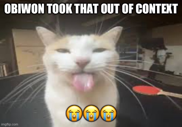 Cat | OBIWON TOOK THAT OUT OF CONTEXT; 😭😭😭 | image tagged in cat | made w/ Imgflip meme maker