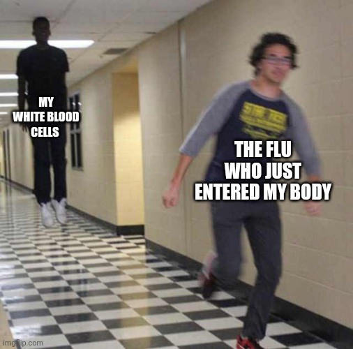 floating boy chasing running boy | MY WHITE BLOOD CELLS; THE FLU WHO JUST ENTERED MY BODY | image tagged in floating boy chasing running boy | made w/ Imgflip meme maker