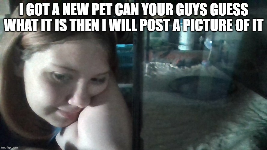 I GOT A NEW PET CAN YOUR GUYS GUESS WHAT IT IS THEN I WILL POST A PICTURE OF IT | made w/ Imgflip meme maker