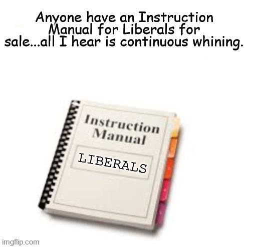 Liberal Whining | Anyone have an Instruction Manual for Liberals for sale...all I hear is continuous whining. | image tagged in liberals,democrats,cry baby,whining,radical liberal,vote | made w/ Imgflip meme maker