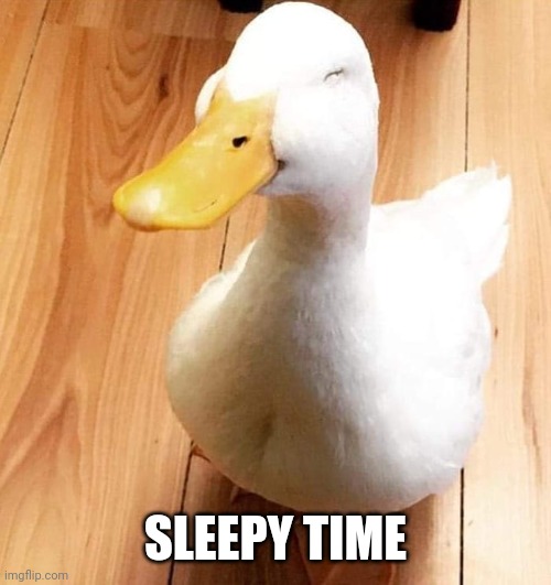 SMILE DUCK | SLEEPY TIME | image tagged in smile duck | made w/ Imgflip meme maker