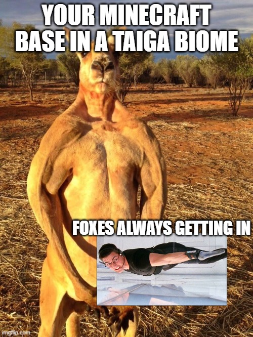 I have a base in a Taiga biome and i hate this. | YOUR MINECRAFT BASE IN A TAIGA BIOME; FOXES ALWAYS GETTING IN | image tagged in buff kangaroo | made w/ Imgflip meme maker