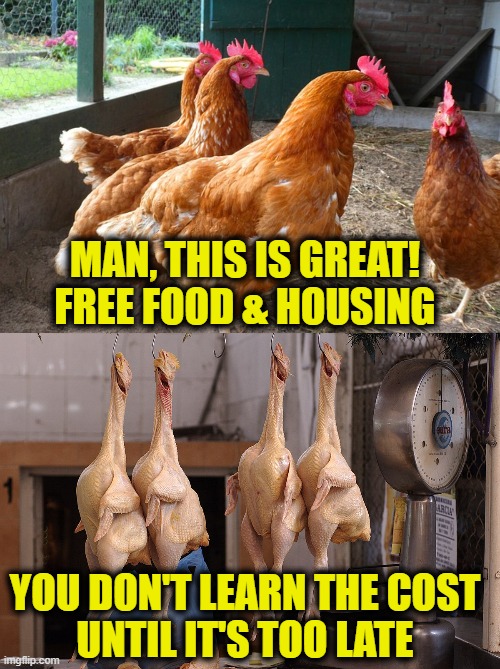 Everything is free! | MAN, THIS IS GREAT!
FREE FOOD & HOUSING; YOU DON'T LEARN THE COST
UNTIL IT'S TOO LATE | image tagged in socialism | made w/ Imgflip meme maker