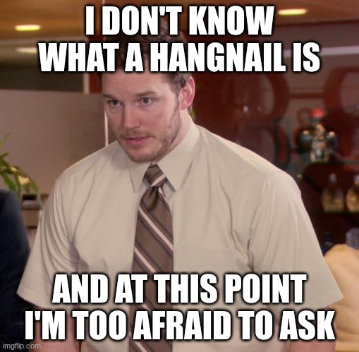 Afraid To Ask Andy Meme | I DON'T KNOW WHAT A HANGNAIL IS AND AT THIS POINT I'M TOO AFRAID TO ASK | image tagged in memes,afraid to ask andy | made w/ Imgflip meme maker