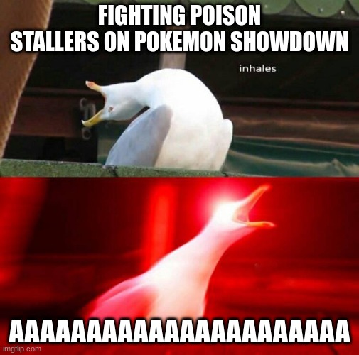 Pokemon Players can relate | FIGHTING POISON STALLERS ON POKEMON SHOWDOWN; AAAAAAAAAAAAAAAAAAAAAA | image tagged in inhaling seagull,pokemon showdown,relatable,poison stall | made w/ Imgflip meme maker