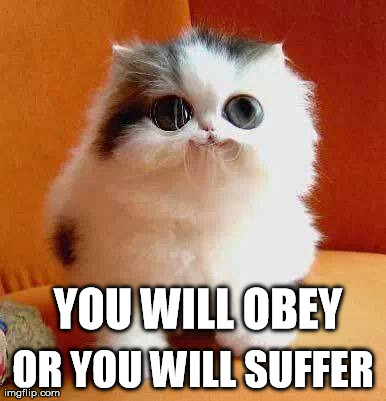 YOU WILL OBEY OR YOU WILL SUFFER | made w/ Imgflip meme maker