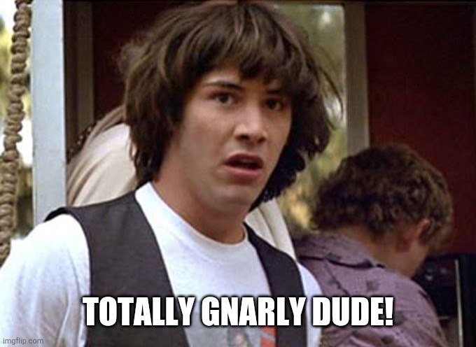 Bill and Ted whoa | TOTALLY GNARLY DUDE! | image tagged in bill and ted whoa | made w/ Imgflip meme maker