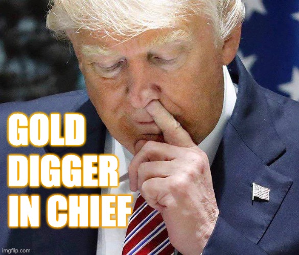 Gold Digger In Chief | GOLD; DIGGER; IN CHIEF | image tagged in donald trump,gold,grifter,gold digger,boogers | made w/ Imgflip meme maker