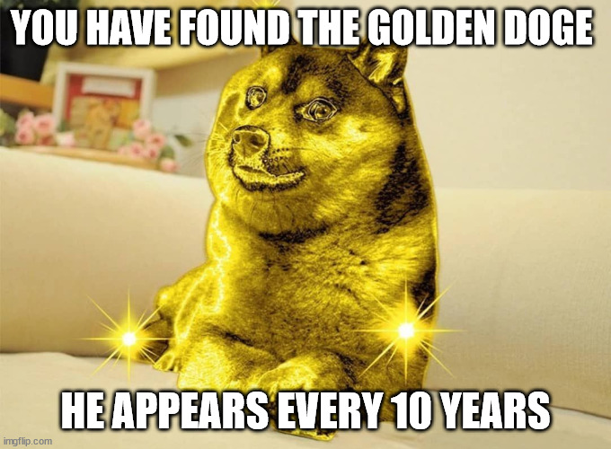 You have found the golden doge also how did you get here | YOU HAVE FOUND THE GOLDEN DOGE; HE APPEARS EVERY 10 YEARS | image tagged in golden doge | made w/ Imgflip meme maker