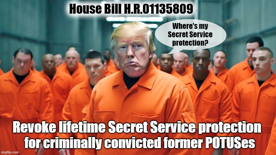 When the Democrats hold a majority in the House, Senate, and White House | House Bill H.R.01135809; Where's my
Secret Service
protection? Revoke lifetime Secret Service protection; for criminally convicted former POTUSes | image tagged in donald trump,jail,secret service,protection | made w/ Imgflip meme maker
