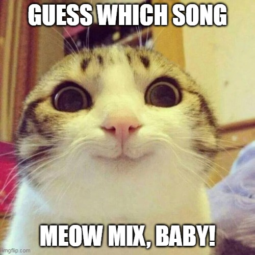 that one cat lover | GUESS WHICH SONG; MEOW MIX, BABY! | image tagged in memes,smiling cat | made w/ Imgflip meme maker