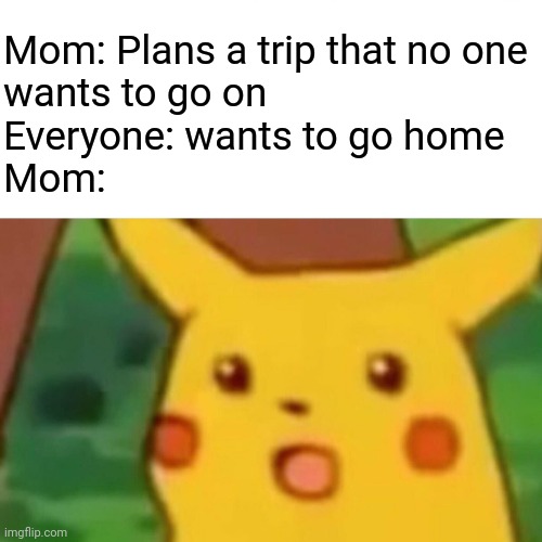 Anyone else? | Mom: Plans a trip that no one
wants to go on
Everyone: wants to go home
Mom: | image tagged in memes,surprised pikachu,parents,trip | made w/ Imgflip meme maker