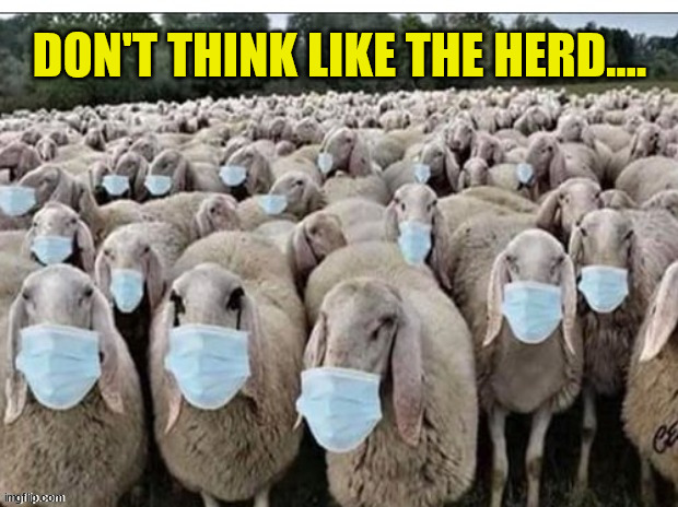 Sheeple | DON'T THINK LIKE THE HERD.... | image tagged in sheeple | made w/ Imgflip meme maker