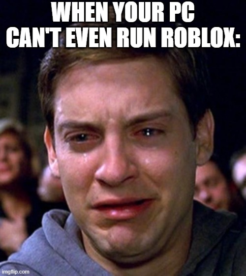 "Nooooooo" | WHEN YOUR PC CAN'T EVEN RUN ROBLOX: | image tagged in crying peter parker,funny,funny memes,fun,memes,relatable | made w/ Imgflip meme maker