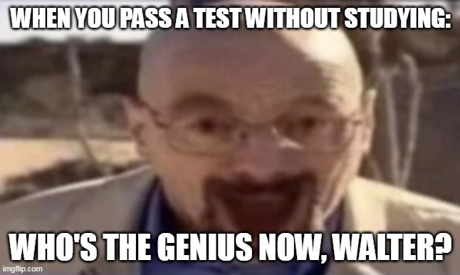Reletable for someone who has good studies memory | WHEN YOU PASS A TEST WITHOUT STUDYING:; WHO'S THE GENIUS NOW, WALTER? | image tagged in waltuh happy,epic | made w/ Imgflip meme maker
